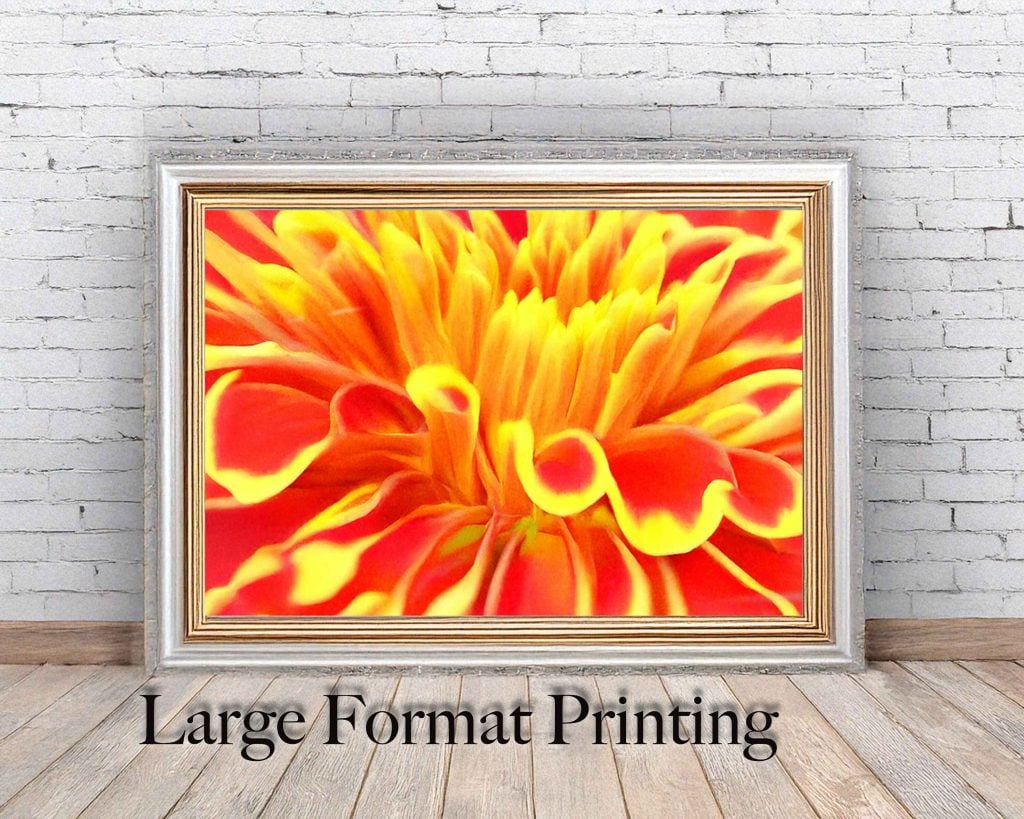 Large format print displayed with text reading “Large Format Printing,” showcasing high-quality printing capabilities.